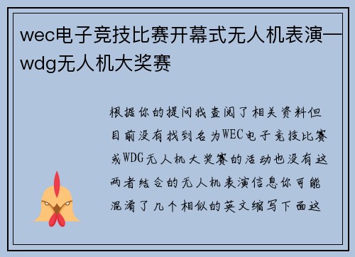 wec电子竞技比赛开幕式无人机表演—wdg无人机大奖赛